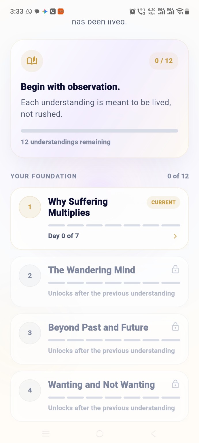 SelfMirror foundation journey
